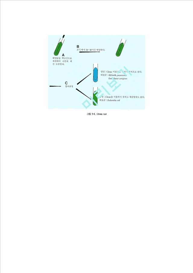 생화학적 검사에 의한 장내세균의 분리동정   (8 )